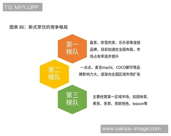 西安足球队运营模式解析与未来发展展望